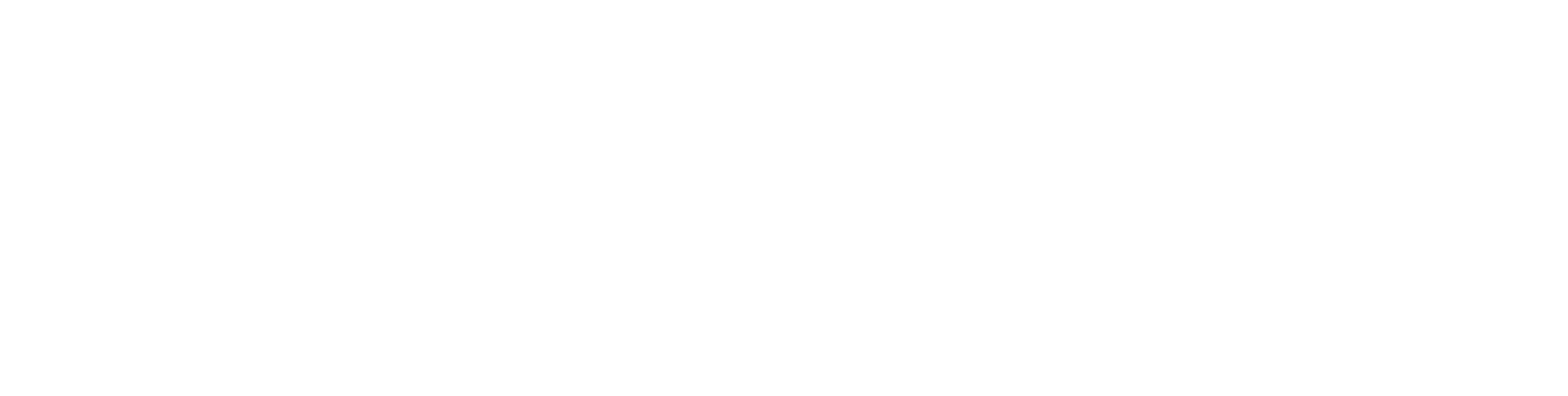 Ipso Santé Social